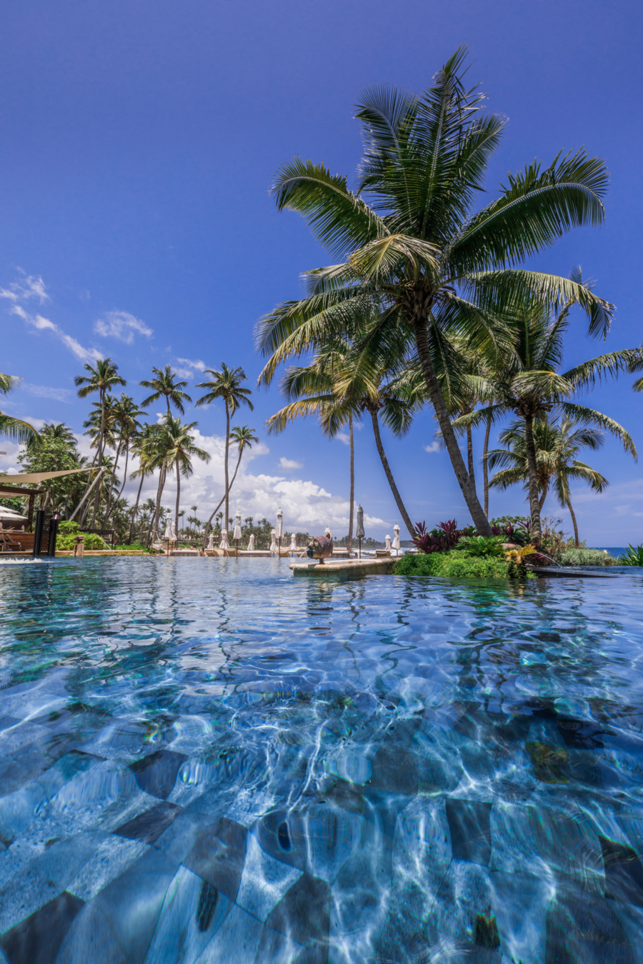 Private Pool Ritz Carlton Dorado Beach - Discover Puerto Rico's Best Kept Secret // NotJessFashion.com