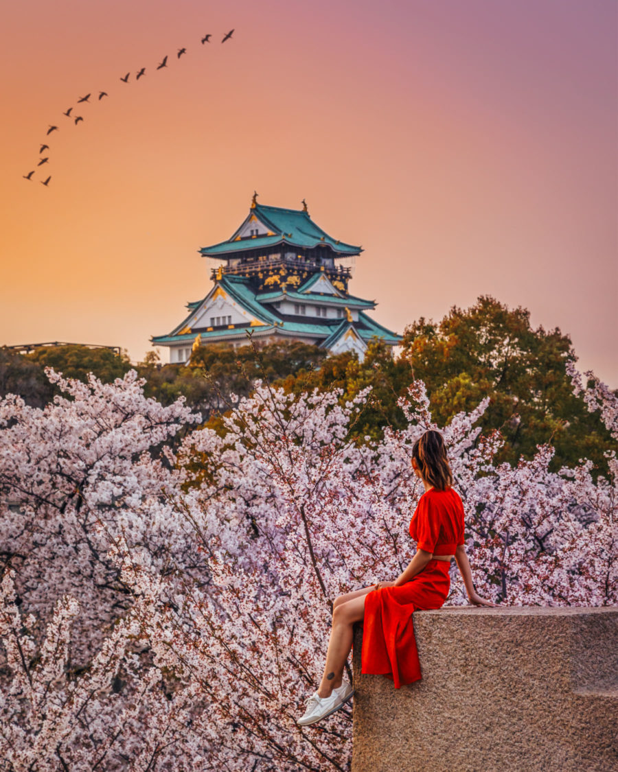 Osaka Castle during cherry blossom season, Japan Travel Guide, luxury travel blogger // Notjessfashion.com